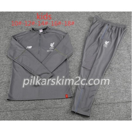 Liverpool Dziecięca Komplet Bluzy Treningowe Szary 2018-2019